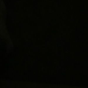 Meet your Posher, Trevor